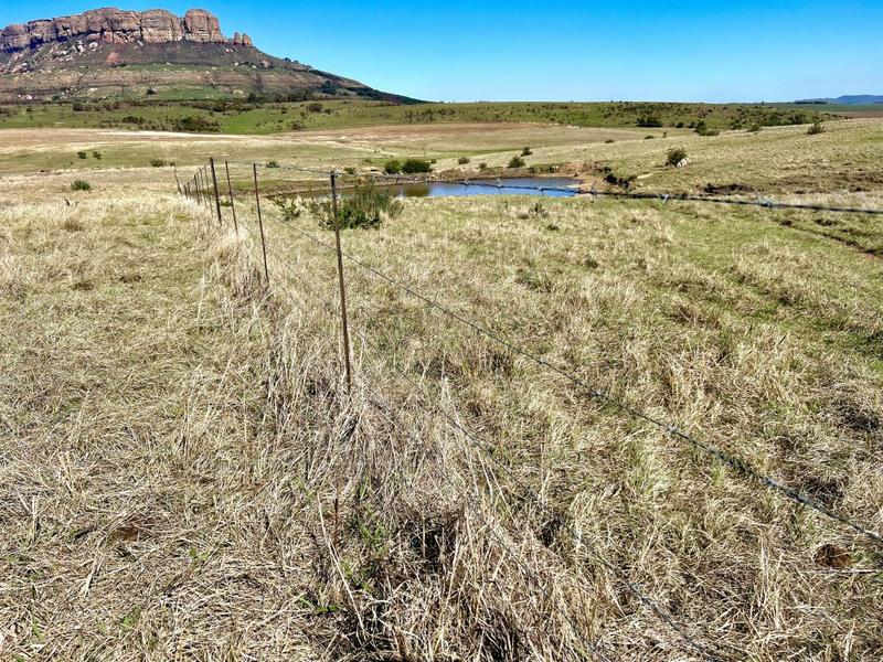 0 Bedroom Property for Sale in Harrismith Free State